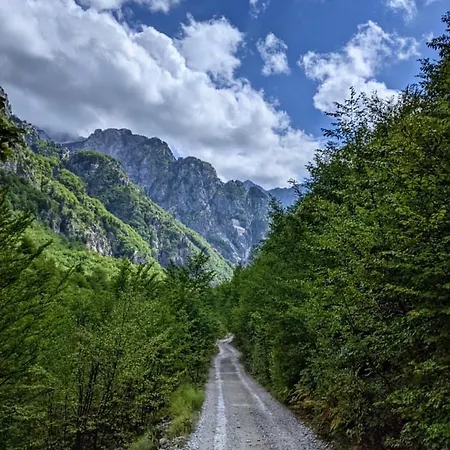 Marashi Πανσιόν Theth