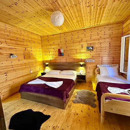 Guest house Marashi