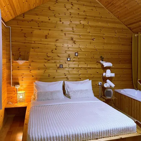 Guest house Marashi